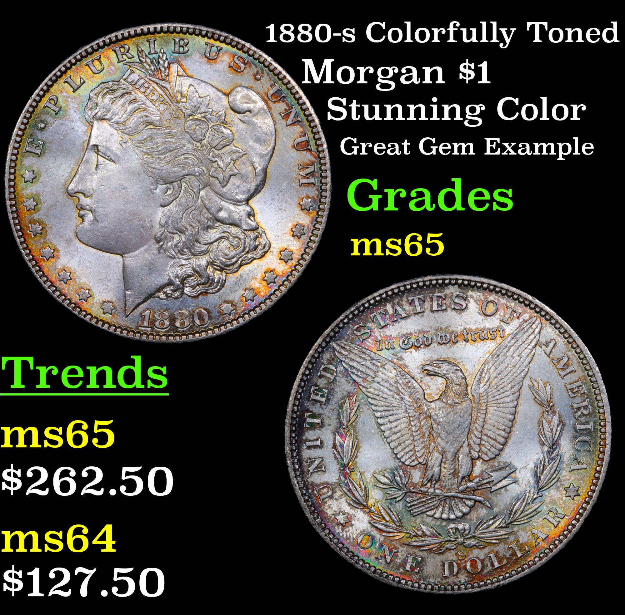 1880-s Colorfully Toned Morgan Dollar $1 Grades GEM Unc