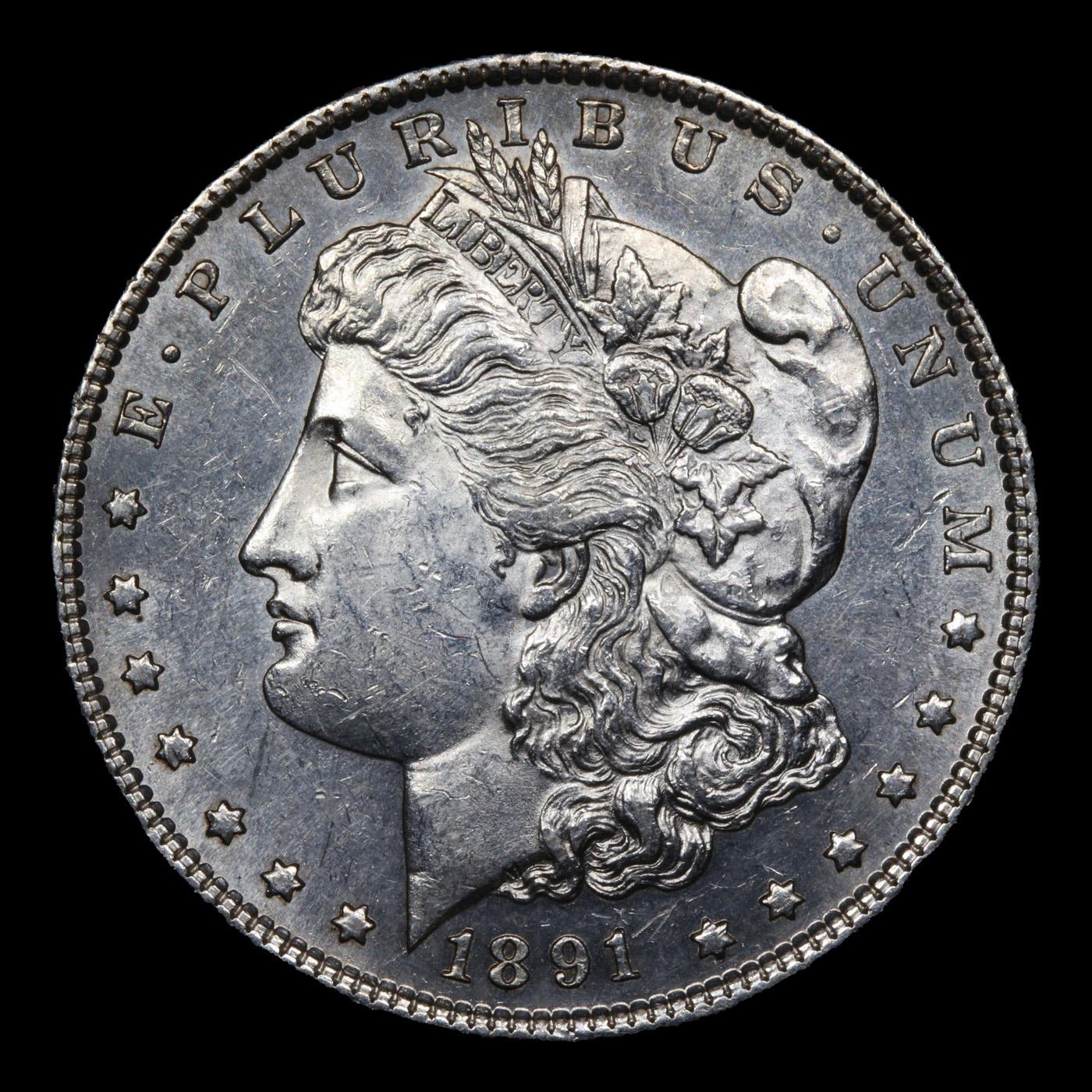 1891-s Morgan Dollar $1 Grades Select Unc PL