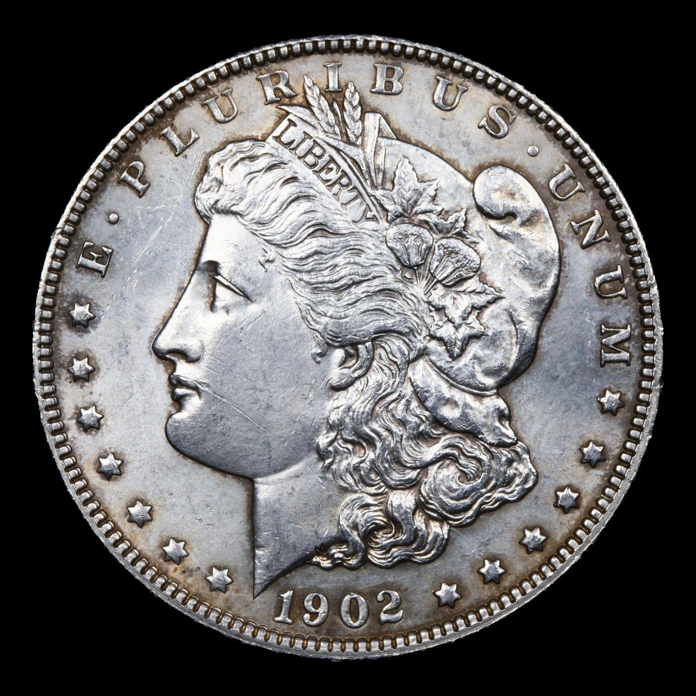 1902-p Morgan Dollar $1 Grades Unc Details