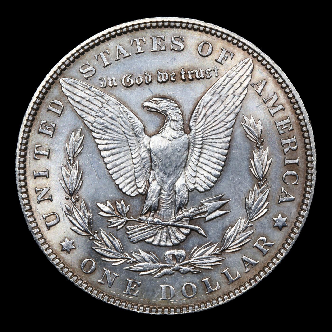 1902-p Morgan Dollar $1 Grades Unc Details