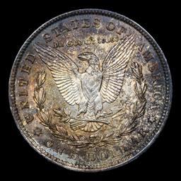 1921-p Morgan Dollar $1 Graded Select+ Unc