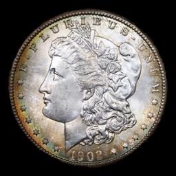 1902-o vam 42 I3 R5 Morgan Dollar $1 Graded Choice Unc