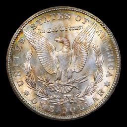 1902-o vam 42 I3 R5 Morgan Dollar $1 Graded Choice Unc