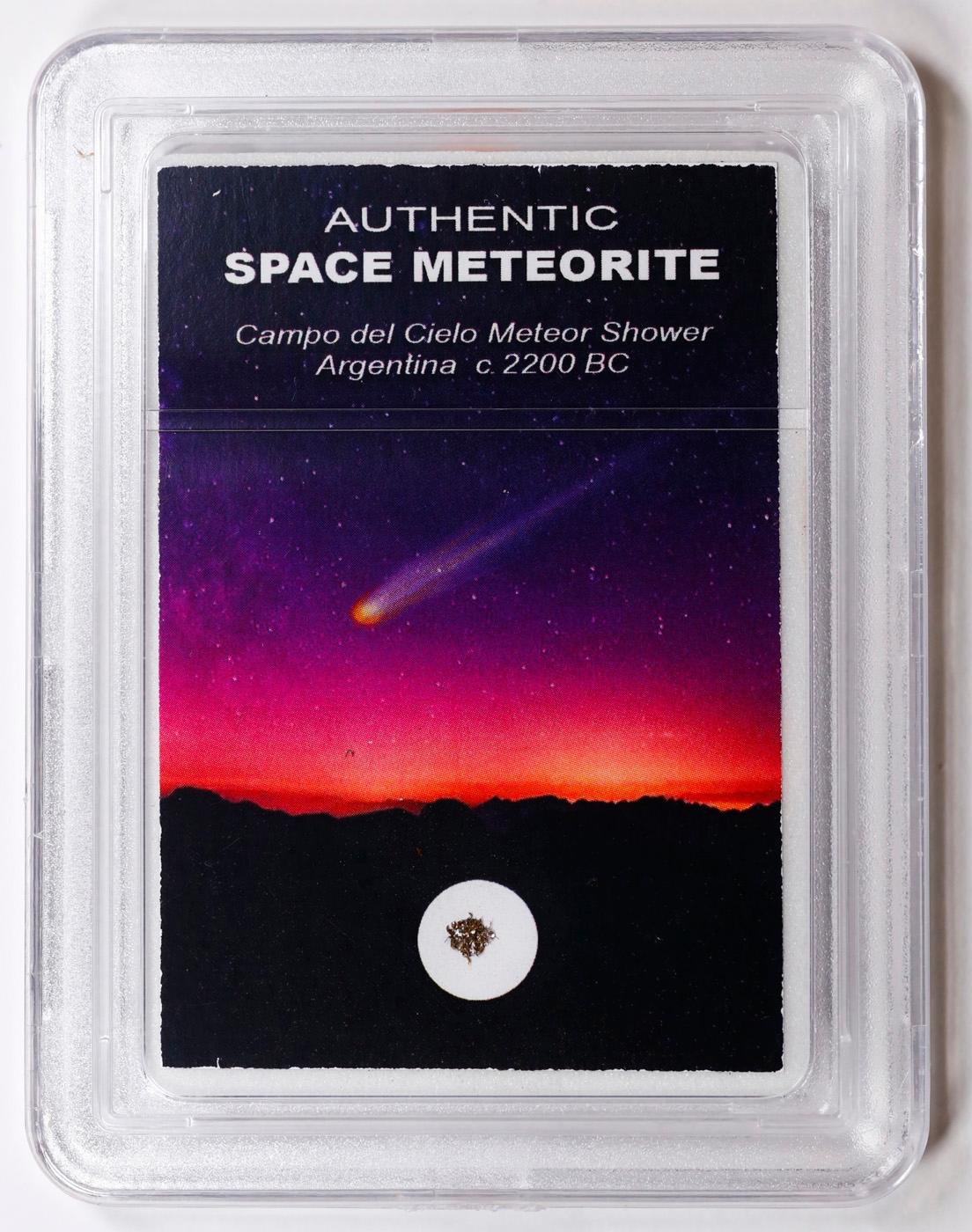 Authentic Space Meteorite Campo Del Cielo Meteor Shower Argentina Ca. 2200 BC Graded By INB