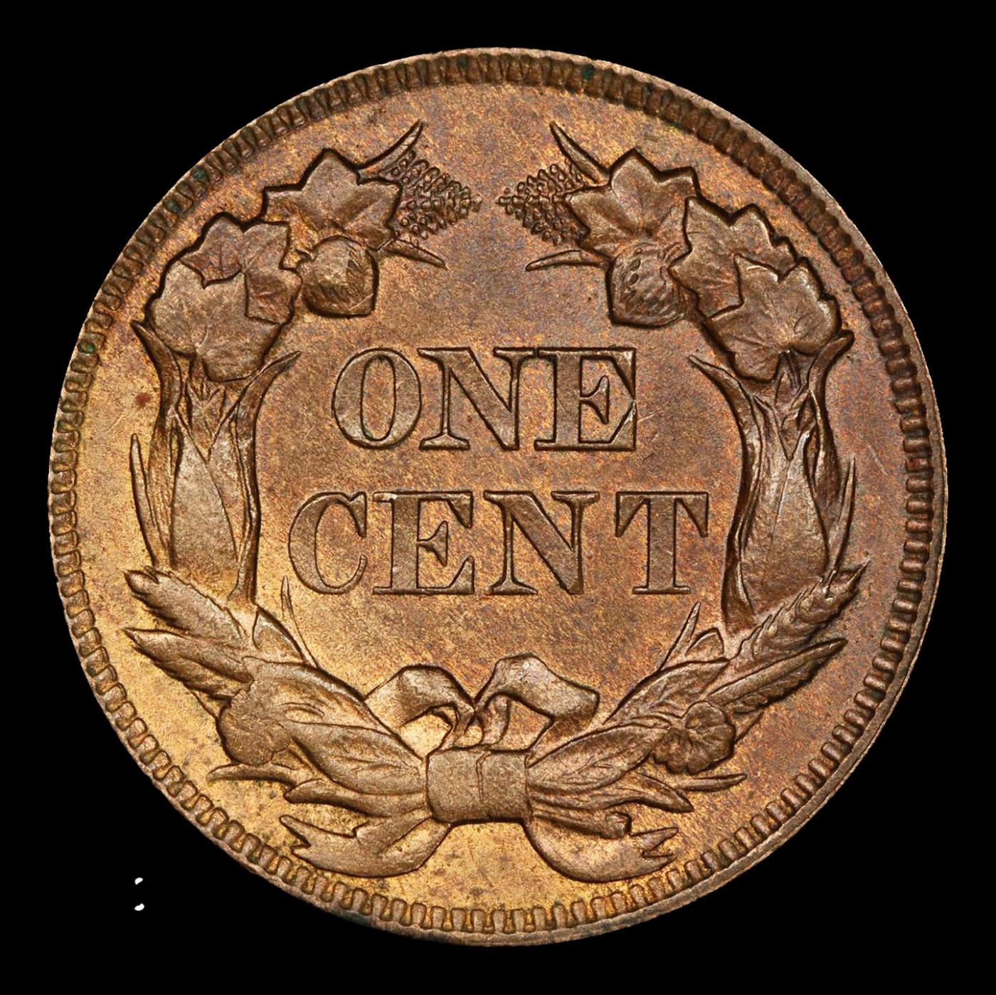 *Highlight* 1857 Flying Eagle Cent 1c ms64+ SEGS (fc)