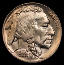 *Highlight* 1929-d Buffalo Nickel Near Top Pop! 5c ms67 SEGS (fc)