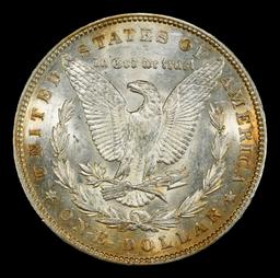 1893-p Morgan Dollar $1 ms63 USCG