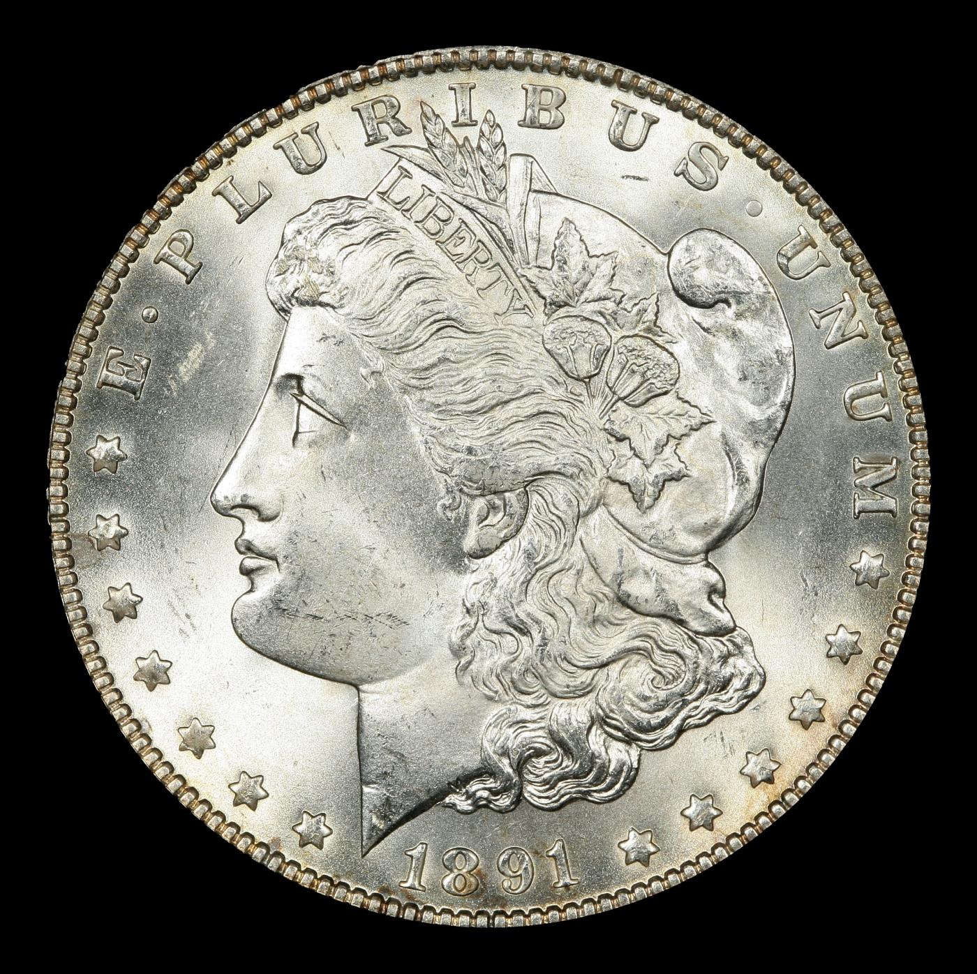 1891-p Morgan Dollar $1 Grades GEM Unc SEGS