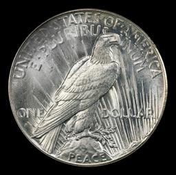1926-s Peace Dollar Near Top Pop $1 ms66 SEGS