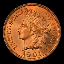 1901 Indian Cent Near Top Pop! 1c ms66+ rd SEGS