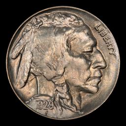 1929-s Buffalo Nickel 5c Grades GEM Unc