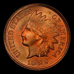 1899 Indian Cent . 1c ms66+ rd SEGS