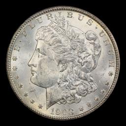1902-o Morgan Dollar $1 Grades Select Unc
