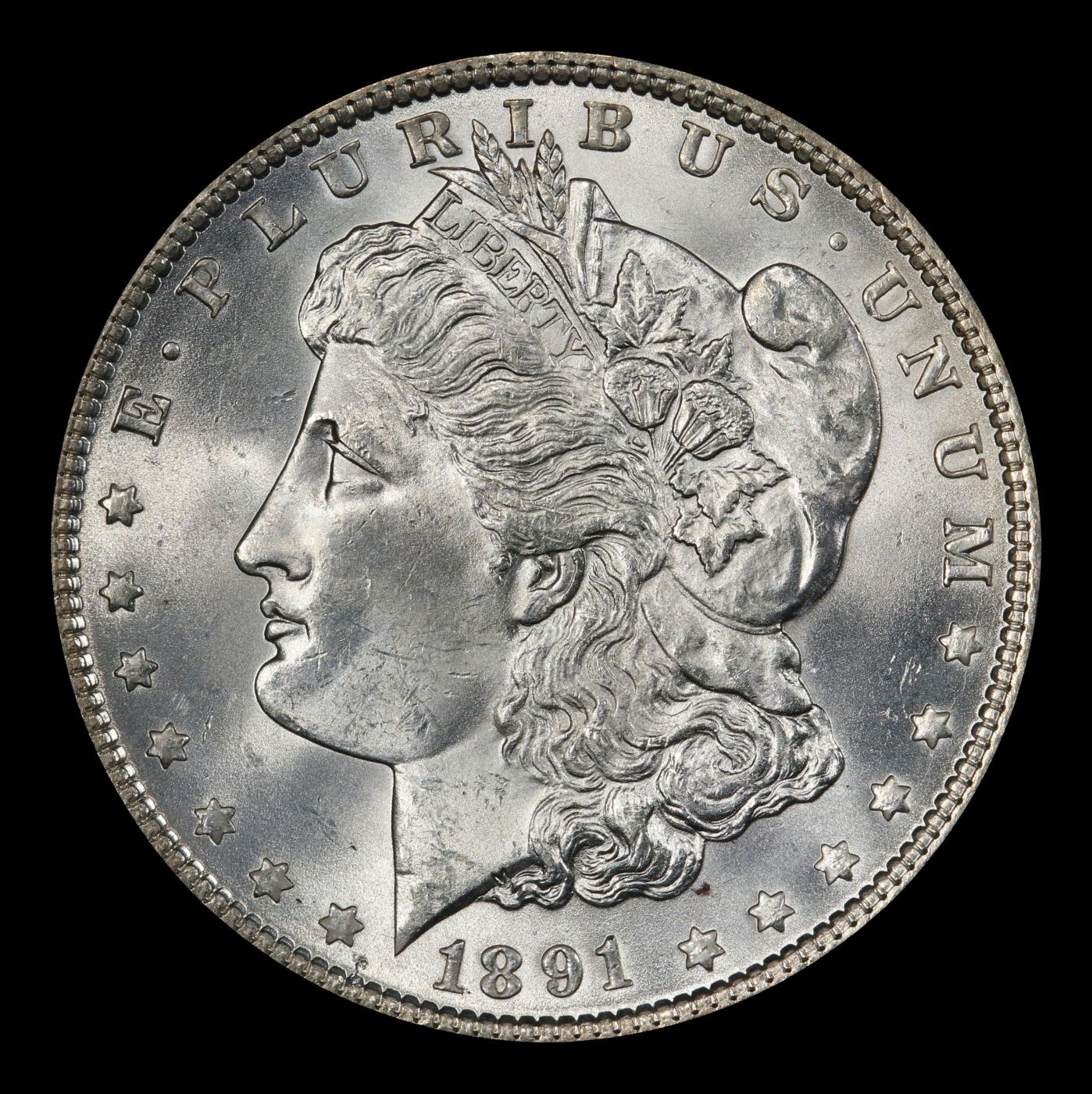 1891-p Morgan Dollar $1 Grades ms64