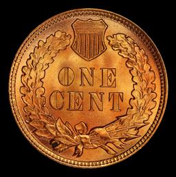 1900 Indian Cent Near Top Pop! 1c ms66+ rd SEGS