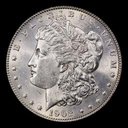 1902-p Morgan Dollar $1 Grades ms62+