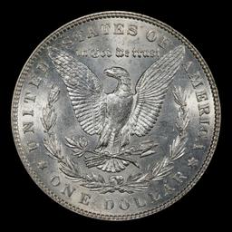 1902-p Morgan Dollar $1 Grades ms62