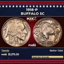 1918-p Buffalo Nickel 5c ms65 SEGS