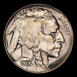1938-d/d Buffalo Nickel Near Top Pop 5c ms67 SEGS