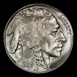 1929-s Buffalo Nickel 5c Grades ms65+