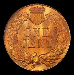 1908 Indian Cent . 1c ms65+ rd SEGS