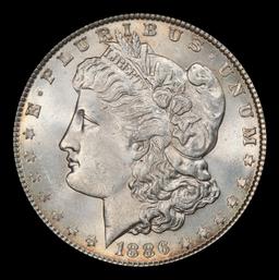 1886-p Morgan Dollar $1 Grades ms62+