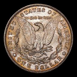 1899-o Morgan Dollar Colorfully Toned $1 ms66+ SEGS