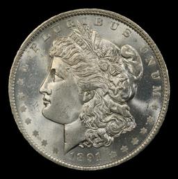 1891-o Morgan Dollar Near Top Pop! $1 ms65+ SEGS