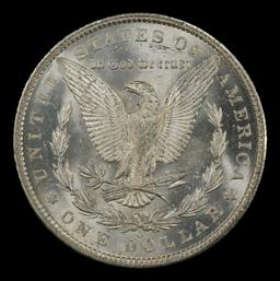 1891-o Morgan Dollar Near Top Pop! $1 ms65+ SEGS
