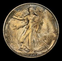 1920-p Walking Liberty Half Dollar Toned TOP POP! 50c ms66+ SEGS