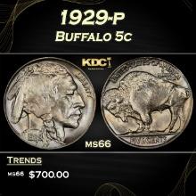 1929-p Buffalo Nickel 5c Grades ms66