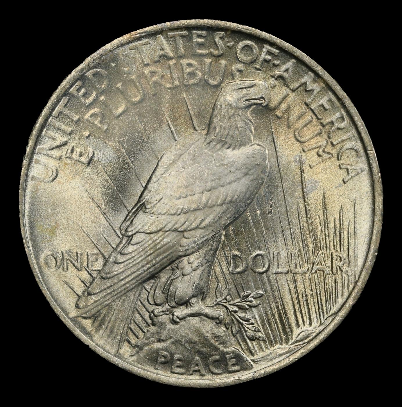 1923-p Peace Dollar TOP POP! $1 ms67+ SEGS