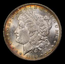 1890-cc Morgan Dollar Toned Near Top Pop $1 ms66 SEGS