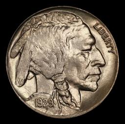 1929-d Buffalo Nickel 5c ms65 SEGS