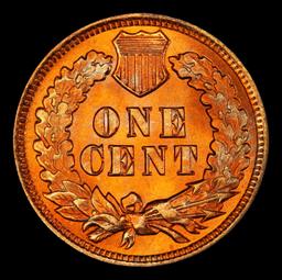 1905 Indian Cent TOP POP! 1c ms67 rd SEGS