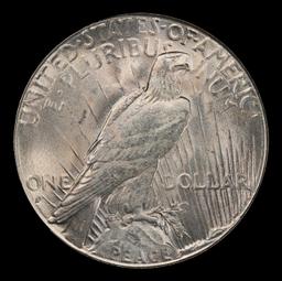 1928-s Peace Dollar $1 ms64+ SEGS