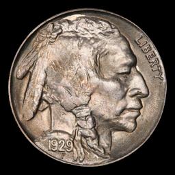 1929-s Buffalo Nickel 5c Grades ms65