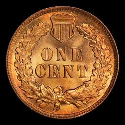 1907 Indian Cent . 1c ms65+ rd SEGS