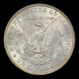 1881-o Morgan Dollar $1 Grades ms62
