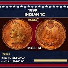 1899 Indian Cent . 1c ms66+ rd SEGS