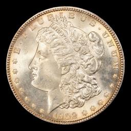 1902-p Morgan Dollar TOP POP! $1 ms67+ SEGS