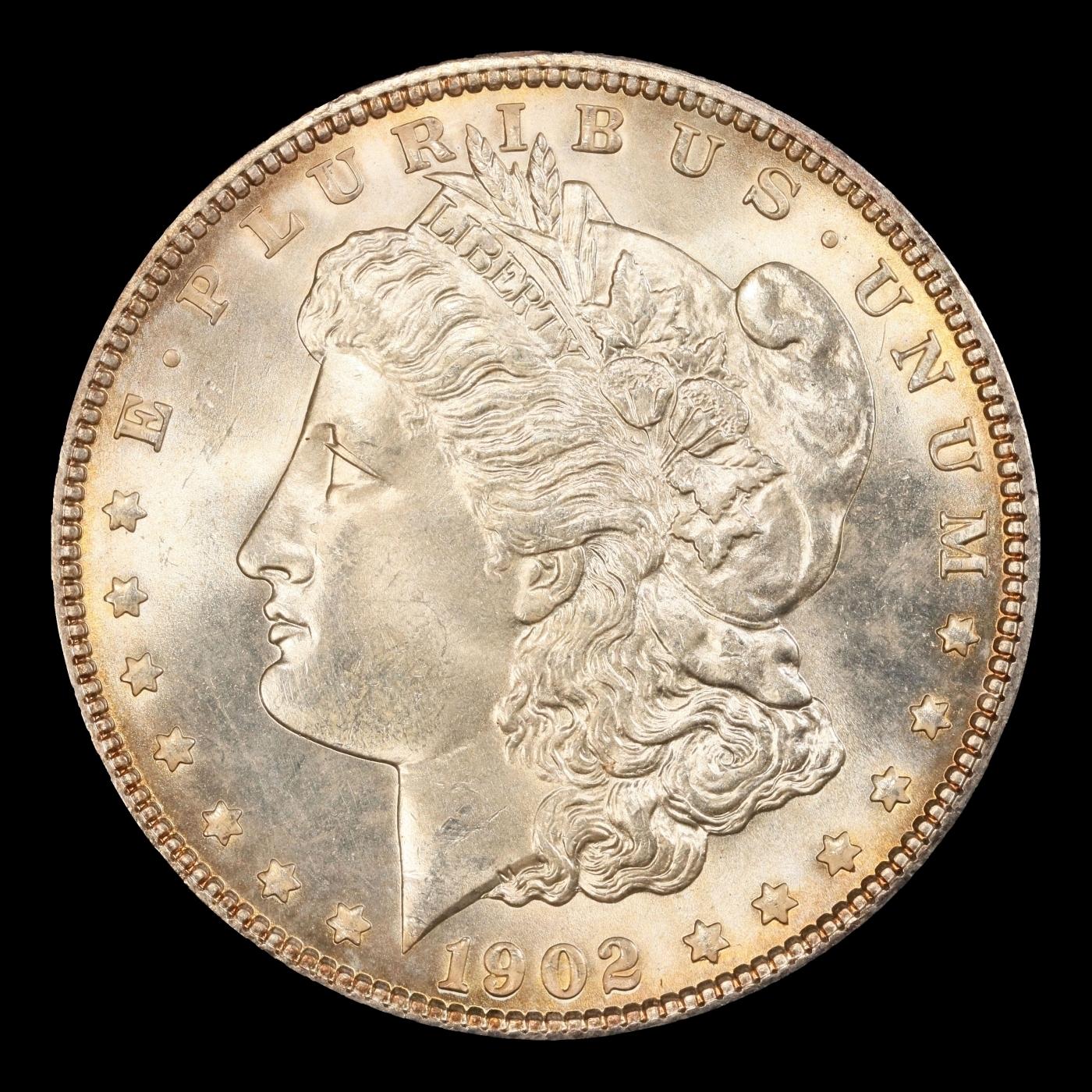 1902-p Morgan Dollar TOP POP! $1 ms67+ SEGS