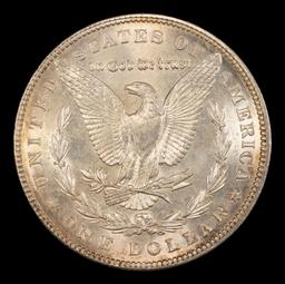1902-p Morgan Dollar TOP POP! $1 ms67+ SEGS