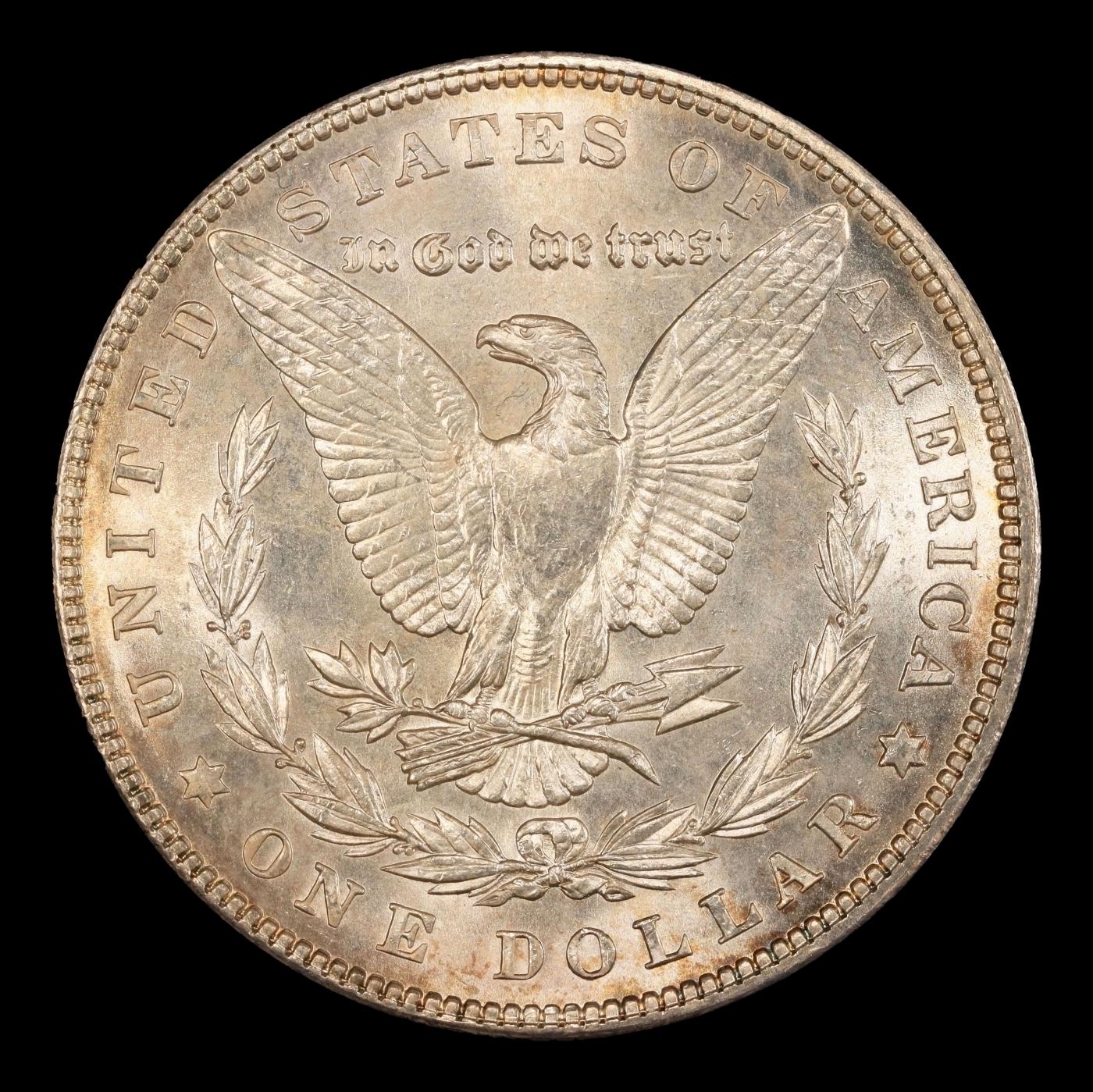 1902-p Morgan Dollar TOP POP! $1 ms67+ SEGS