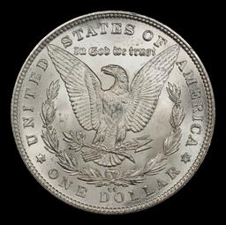 1891-cc Morgan Dollar $1 ms65+ SEGS