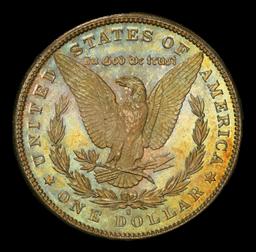 1881-s Morgan Dollar Toned $1 ms67 SEGS
