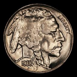 1938-d/s Buffalo Nickel 5c ms67 SEGS