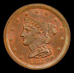 1855 Braided Hair Half Cent C-1 TOP POP! 1/2c ms66 RB SEGS