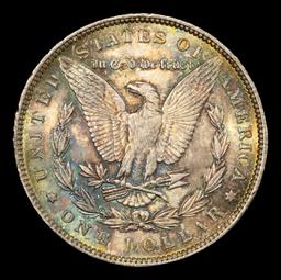 1889-p Morgan Dollar Colorfully Toned  $1 ms66+ SEGS