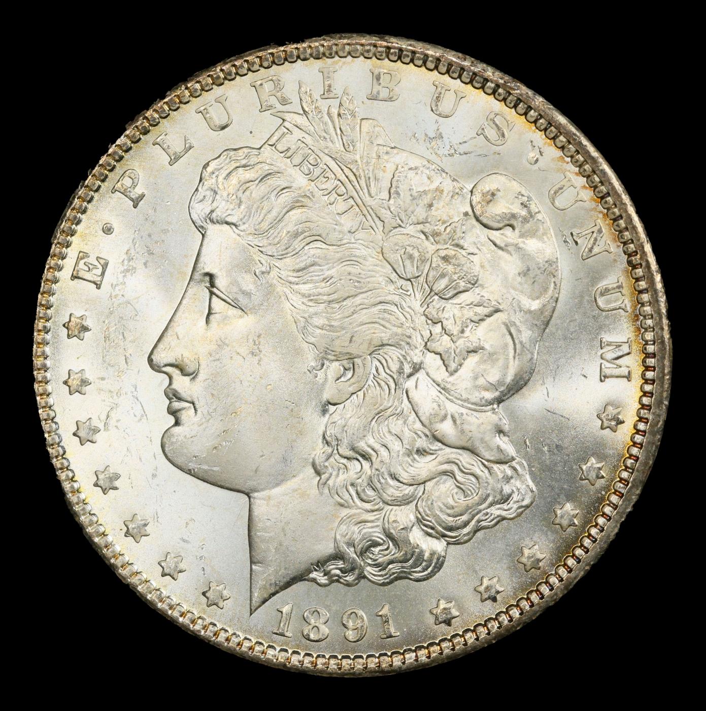 1891-cc Morgan Dollar Near Top Pop $1 ms66+ SEGS